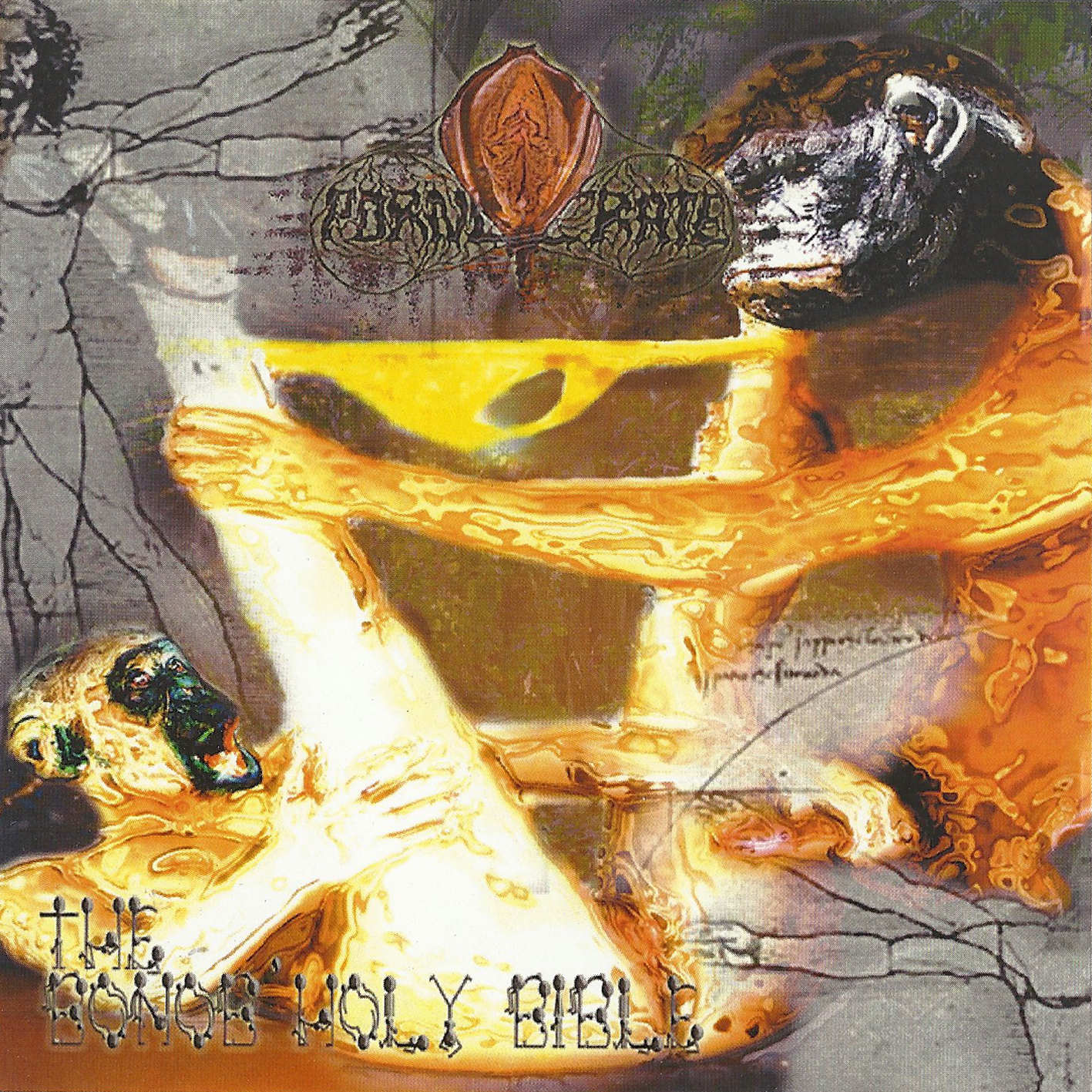 Pochette The Bonob'Holy Bible